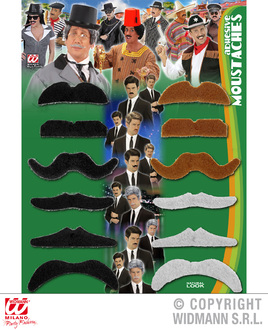 12 MOUSTACHES ASSORTIES