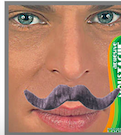 MOUSTACHE GRISE ADHESIVE GUIDON